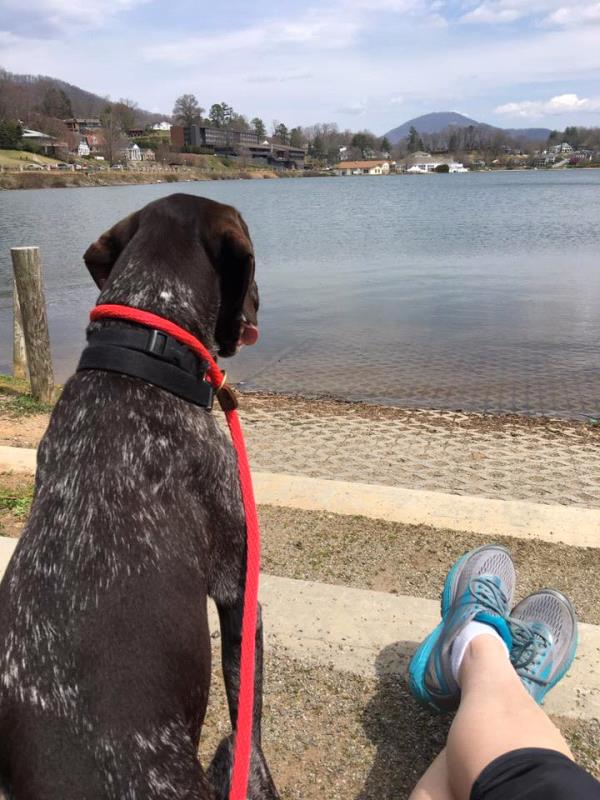 /Images/uploads/Southeast German Shorthaired Pointer Rescue/segspcalendarcontest2018/entries/8650thumb.jpg